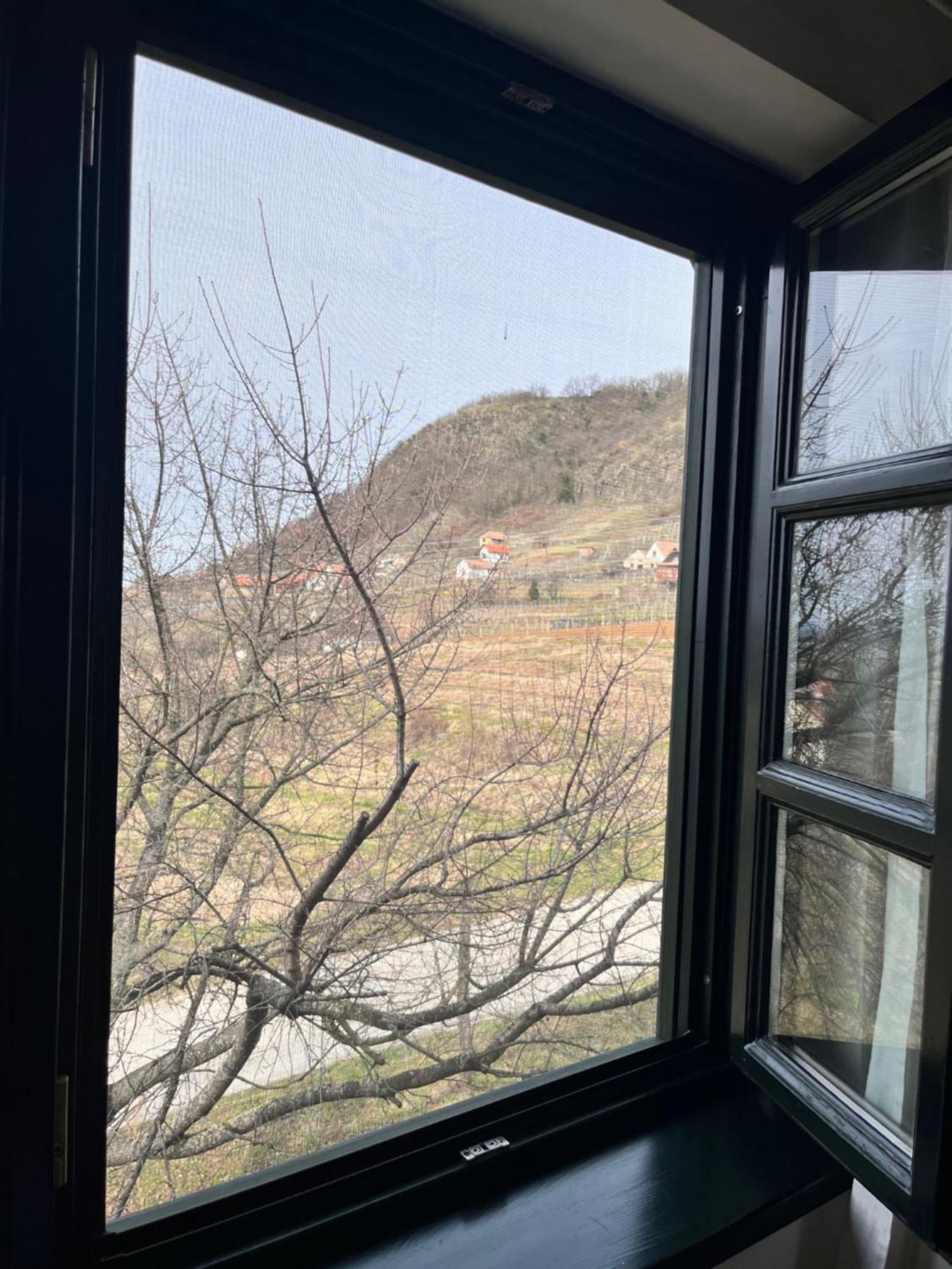 Somlo Wineshop Guesthouse Somlovasarhely ภายนอก รูปภาพ