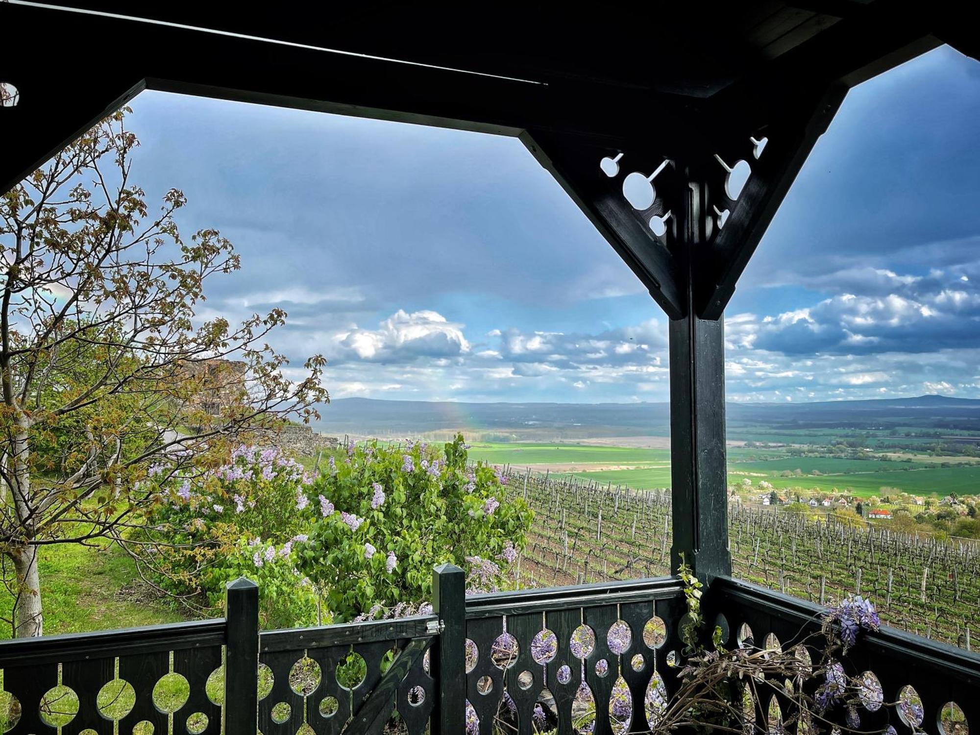 Somlo Wineshop Guesthouse Somlovasarhely ภายนอก รูปภาพ