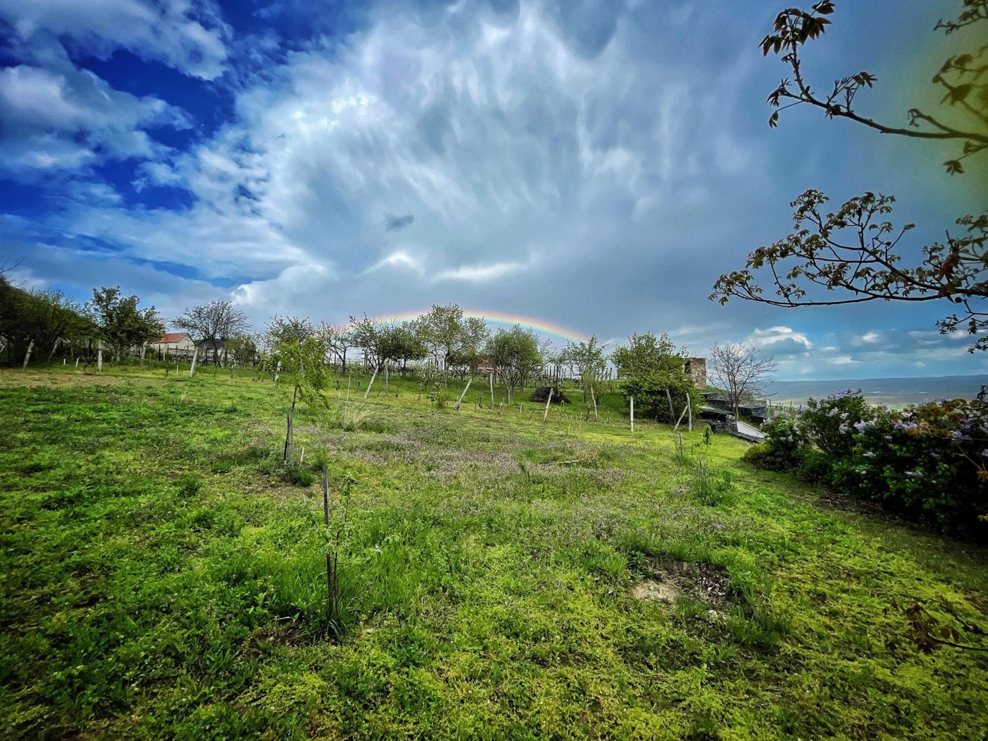 Somlo Wineshop Guesthouse Somlovasarhely ภายนอก รูปภาพ