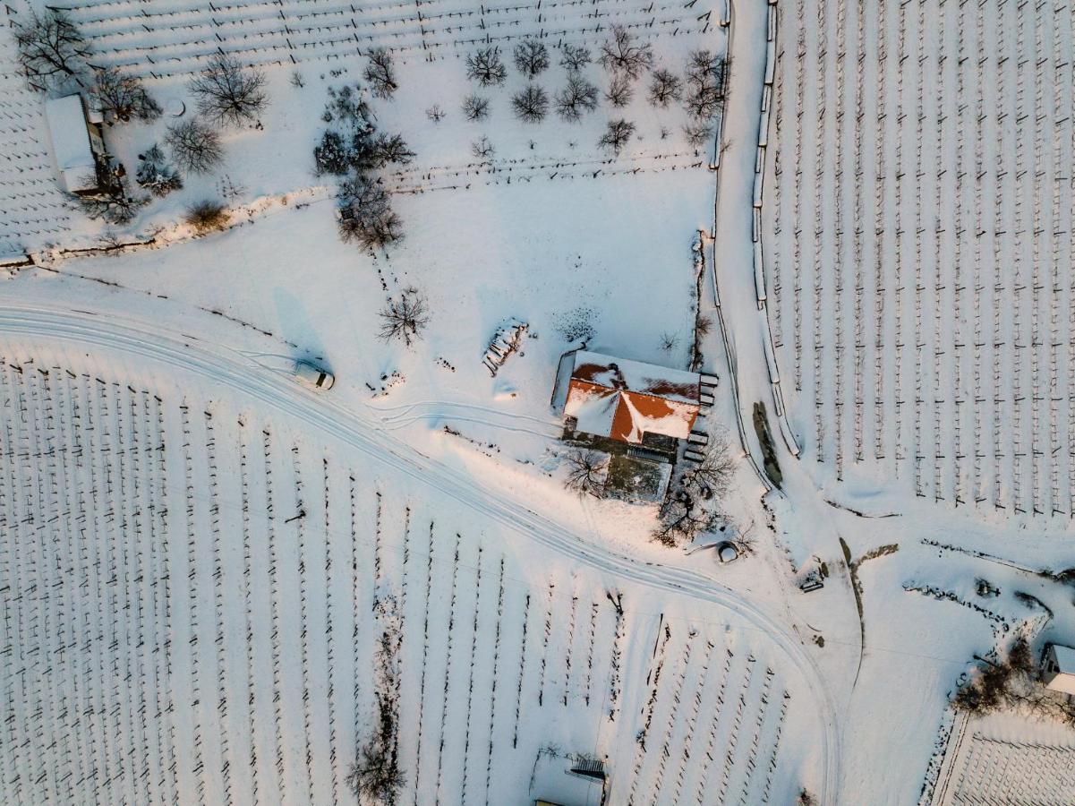 Somlo Wineshop Guesthouse Somlovasarhely ภายนอก รูปภาพ