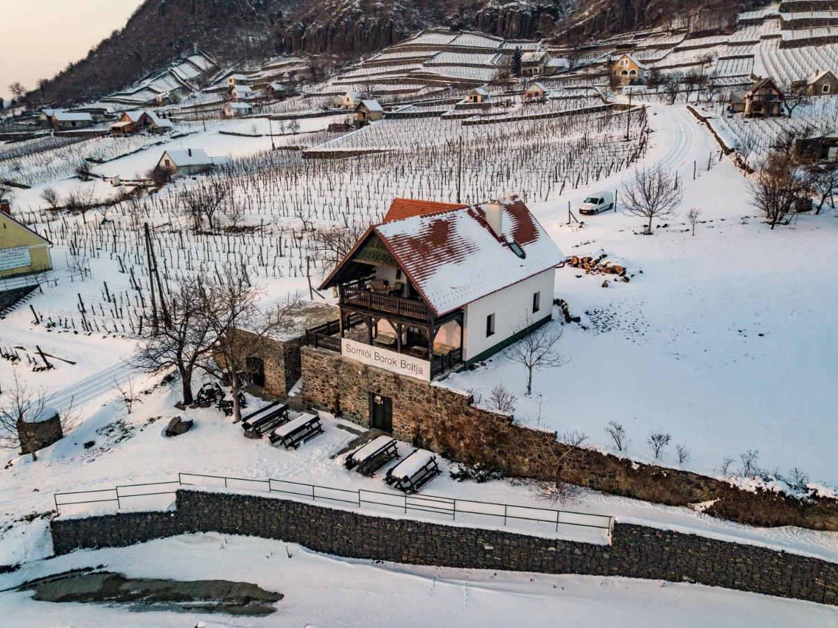 Somlo Wineshop Guesthouse Somlovasarhely ภายนอก รูปภาพ