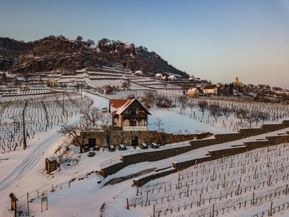 Somlo Wineshop Guesthouse Somlovasarhely ภายนอก รูปภาพ